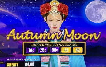 slot machine denominations explained