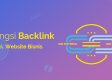 fungsi backlink